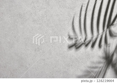 Minimal Natural Light and Shadow Composition for Lifestyle and Background Use. 128219664