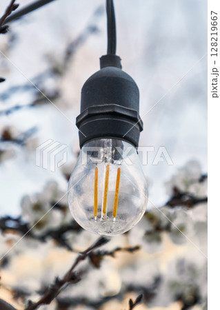 Light bulb decor in public park, outdoor lightning 128219667