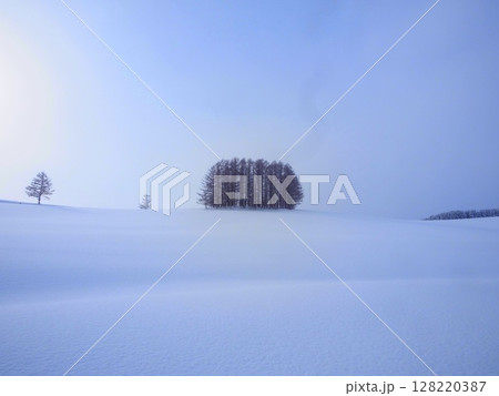 冬のマイルドセブンの丘 128220387