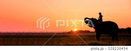 Banner Wildlife Silhouette Elephant Sunset amazing landscape. Web template elephant on sunset wild scenery outdoors. Panorama Wildlife elephant animal mammal landscape on sunrise with copy space. 128220454