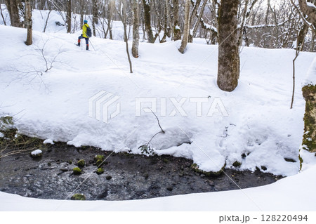 森の新雪をスノーシューで楽しむイメージ 大山木谷沢渓流 森の新雪をスノーシューで楽しむイメージ 大山木谷沢渓流 128220494