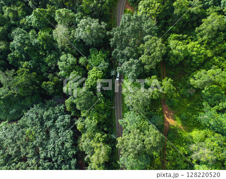 Aerial view of green forest road and transportation. Nature conservation, environment and transportation. 128220520