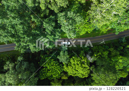 Aerial view of green forest road and transportation. Nature conservation, environment and transportation. 128220521