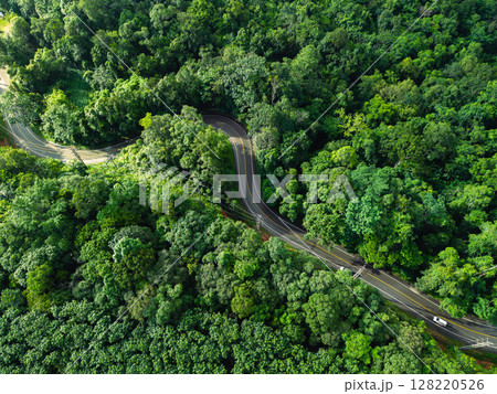 Aerial view of green forest road and transportation. Nature conservation, environment and transportation. Aerial view of green forest road and transportation. Nature conservation, environment and transportation. 128220526
