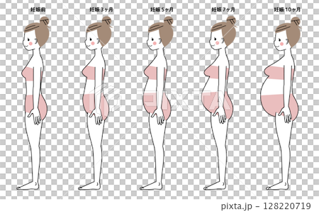 腹部大小隨懷孕週數的變化 128220719
