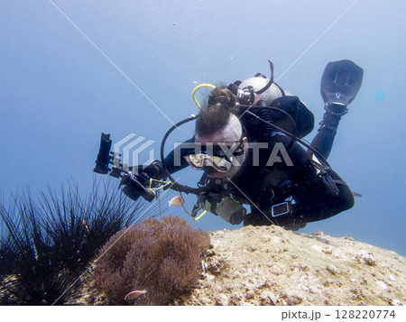 Diver watches an Amphiprion fish over a soft coral at the bottom of the South China Sea in Vietnam 128220774