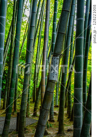 竹林庭園（明月院） 128221008