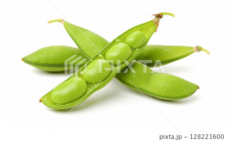 枝豆 128221600