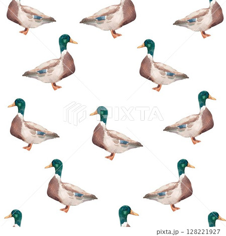Seamless pattern with watercolor ducks hand drawn mallard birds on white background for kids wallpaper and fabric 128221927