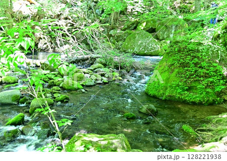 緑の苔に覆われた岩の間を流れる滝の湯川 緑の苔に覆われた岩の間を流れる滝の湯川 128221938