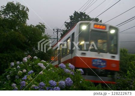 箱根登山電車・あじさい電車 箱根登山電車・あじさい電車 128222673