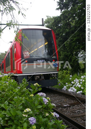 箱根登山電車・あじさい電車 箱根登山電車・あじさい電車 128222703