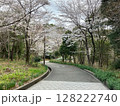 桜・あじさいロード 128222740