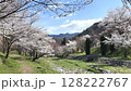 桜木とアルプス山脈 夢の郷公園／写真 128222767