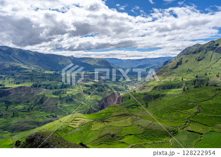 Colca Canyon with a clear blue sky, Peru 128222954