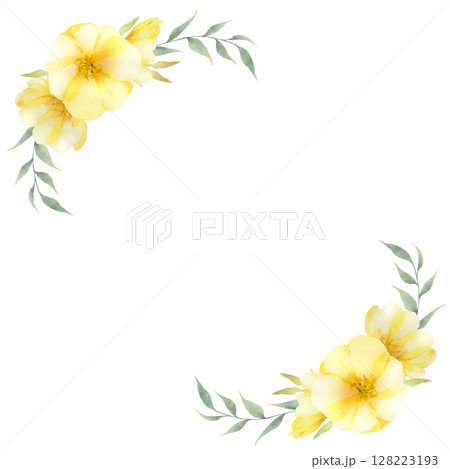 月見草の花のフレーム スクエア 月見草の花のフレーム スクエア 128223193