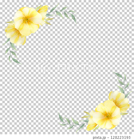 月見草花框方形 月見草花框方形 128223193