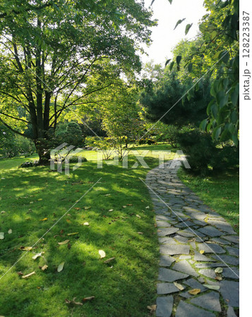 nice spring garden in czech republic 128223387