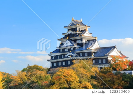 【岡山県】黄葉した岡山城の天守閣（令和の大改修後） 128223409