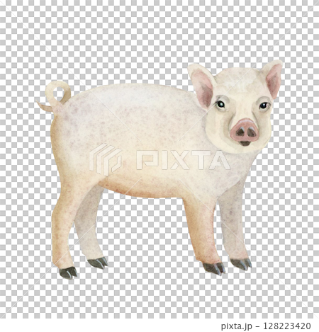 Cute baby piglet watercolor illustration isolated on white. Young pig farm animal for village and countryside designs in realistic style and light pastel pink and beige colors. Rural clip art Cute baby piglet watercolor illustration isolated on white. Young pig farm animal for village and countryside designs in realistic style and light pastel pink and beige colors. Rural clip art 128223420