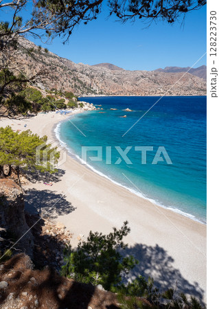 Apella beach framed by pine trees on karpathos island, greece, during a sunny summer day 128223730