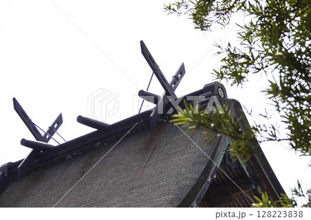 出雲大社 北側から見た本殿 屋根 破風の装飾（千木、鰹木） 128223838