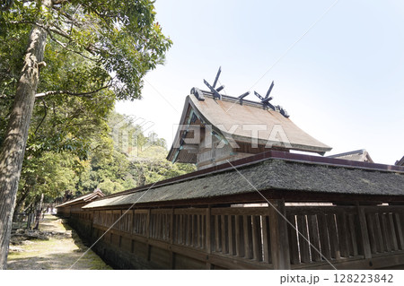 出雲大社 青空と北側から見た本殿 屋根 破風の装飾(千木、鰹木) 出雲大社 青空と北側から見た本殿 屋根 破風の装飾(千木、鰹木) 128223842