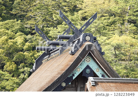 出雲大社 南側から見た本殿の屋根の装飾と八雲山の新緑 128223849