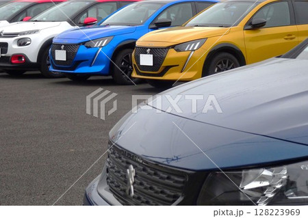 ビジネスイメージ 販売店に並ぶ輸入車 ビジネスイメージ 販売店に並ぶ輸入車 128223969