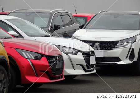 ビジネスイメージ 販売店に並ぶ輸入車 ビジネスイメージ 販売店に並ぶ輸入車 128223971
