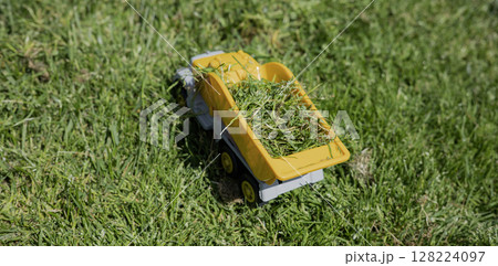 toy cars on the lawn in the sunny day 128224097