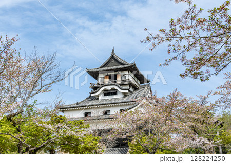 愛知県犬山市　国宝犬山城天守 128224250