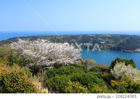伊豆半島　寝姿山からの展望　静岡県下田市 128224303