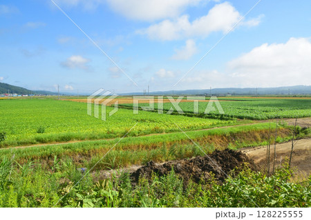 JR北海道、根室本線の帯広駅から池田駅までの普通列車風景(2023年夏) 128225555