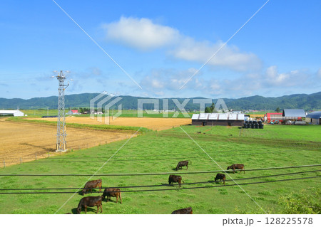 JR北海道、根室本線の帯広駅から池田駅までの普通列車風景(2023年夏) JR北海道、根室本線の帯広駅から池田駅までの普通列車風景(2023年夏) 128225578