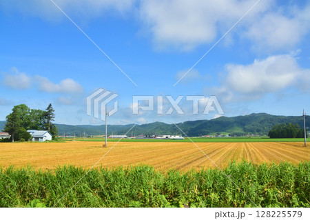 JR北海道、根室本線の帯広駅から池田駅までの普通列車風景(2023年夏) 128225579