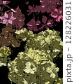 紫陽花 128226031