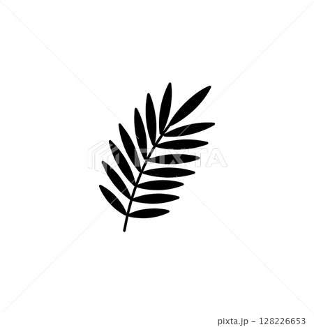 black leaf of palm tree icon illustration isolated on white background 128226653