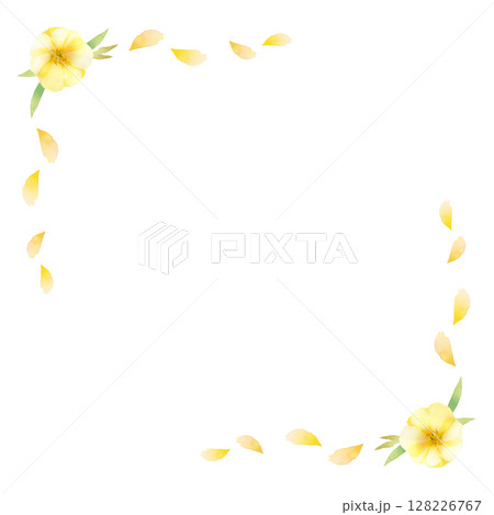 月見草の花と花びらのフレーム　スクエア 128226767