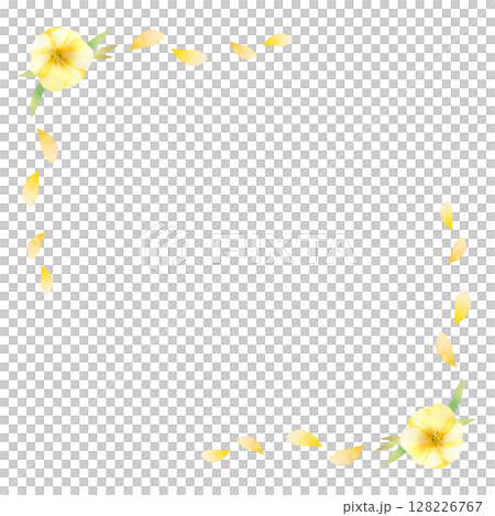 月見草の花と花びらのフレーム　スクエア 128226767