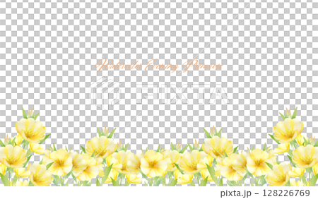 水彩月見草花田框架 128226769