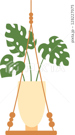Monstera deliciosa plant hanging in a beige pot with macrame and wooden base, isolated on a white background, perfect for home decoration and bringing nature indoors Monstera deliciosa plant hanging in a beige pot with macrame and wooden base, isolated on a white background, perfect for home decoration and bringing nature indoors 128227075