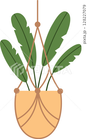 Lush green leaves cascading from a macrame plant hanger, adding a vibrant and stylish touch to modern home decor while enhancing the atmosphere of an inviting indoor space 128227079