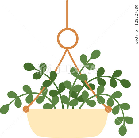 Hanging houseplant with long stems and oval leaves in a beige pot, suspended by three orange strings from a circular hanger, adding a touch of nature and elegance to interior design Hanging houseplant with long stems and oval leaves in a beige pot, suspended by three orange strings from a circular hanger, adding a touch of nature and elegance to interior design 128227080