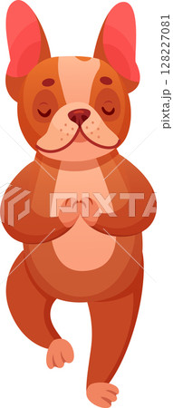 Brown french bulldog with closed eyes practicing yoga, meditating in tree pose, holding paws together, standing on one leg, finding inner peace and balance, cartoon vector illustration Brown french bulldog with closed eyes practicing yoga, meditating in tree pose, holding paws together, standing on one leg, finding inner peace and balance, cartoon vector illustration 128227081