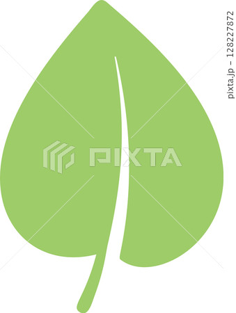Light green leaf featuring a prominent central vein and stem, representing themes of nature, environment, ecology, and sustainability, isolated against a clean white background 128227872