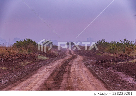 Nairobi City County National Park Wildlife Landscapes Kenya East Africa 128229291
