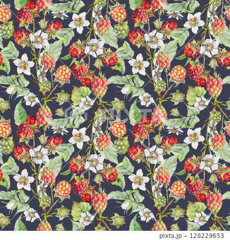Raspberry berries leaves flowers on thorny spiked branch hand drawn in watercolor. Ripe cloudberry dewberry mulberry. Seamless pattern isolated on dark. Home preserves, grocery store, wrapping paper 128229653