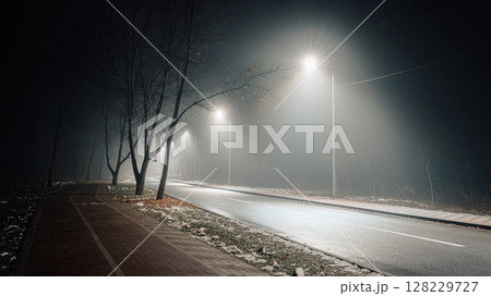 Foggy Bicycle Path with Bare Trees and Streetlights at Night 128229727