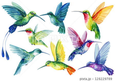 Hummingbirds watercolor clipart set flying tropical birds bright botanical illustration for nursery wall art invitations fabric 128229789